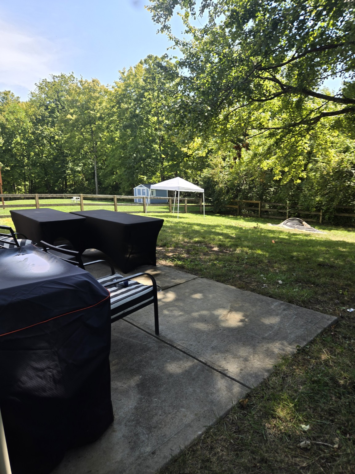 Outdoor Celebration Setup